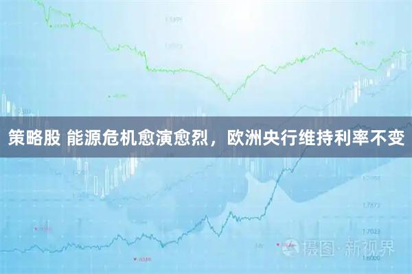 策略股 能源危机愈演愈烈，欧洲央行维持利率不变