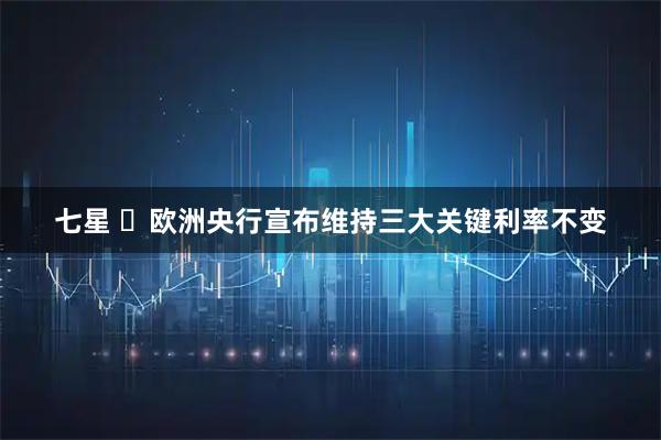 七星 ​欧洲央行宣布维持三大关键利率不变